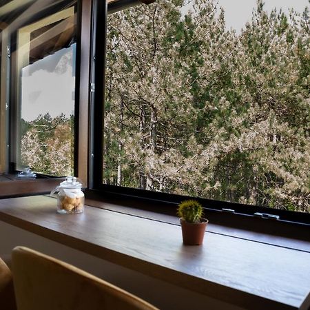 Zlatibor Apartman & Spa Casa Perfetta Eksteriør bilde